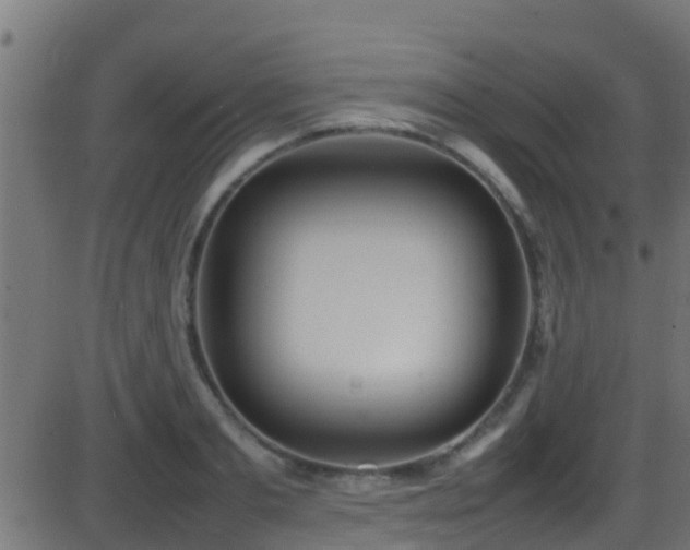 X0000086280893200704051332