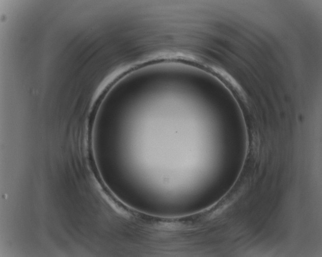 X0000086280894200704051332