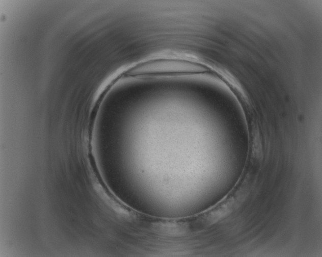 X0000086280896200704051332