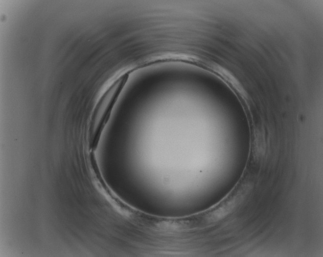 X0000086280898200704051332