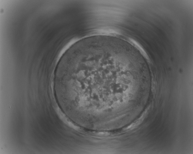 X0000086280899200704051332