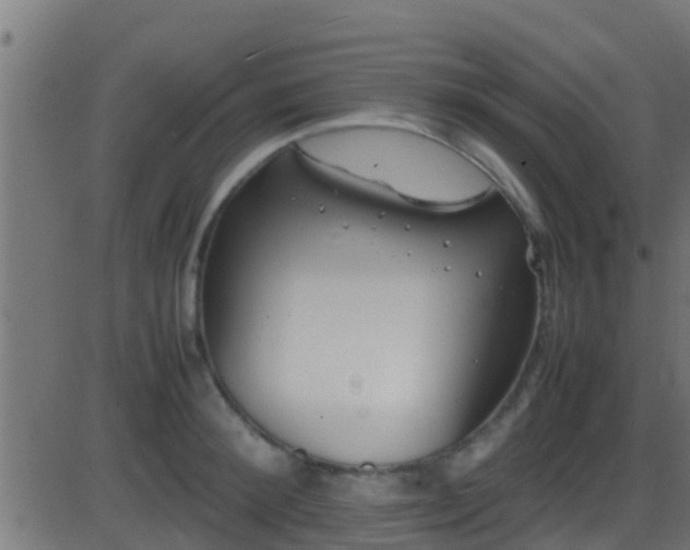 X0000086280900200704051332