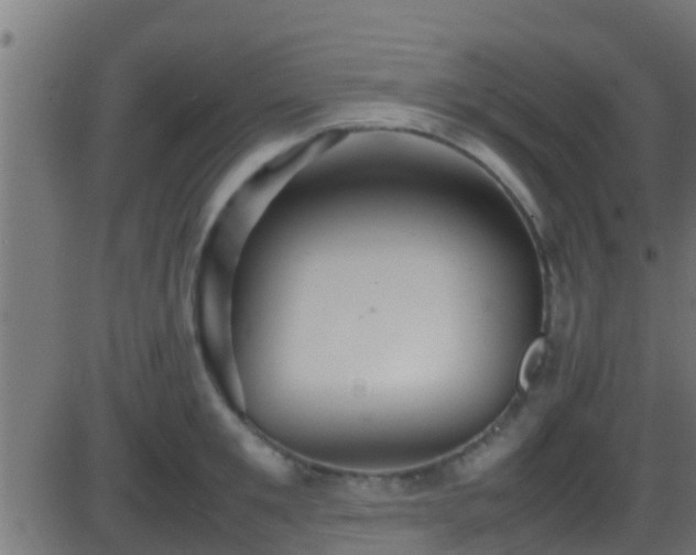 X0000086280901200704051332