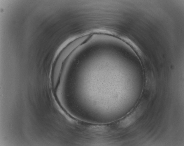 X0000086280902200704051332