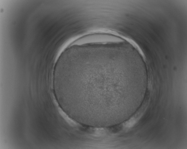 X0000086280903200704051332