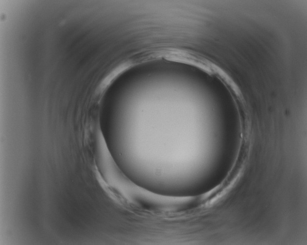 X0000086280905200704051332