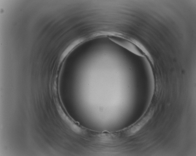 X0000086280906200704051332