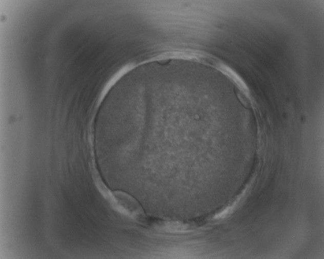 X0000086280907200704051332