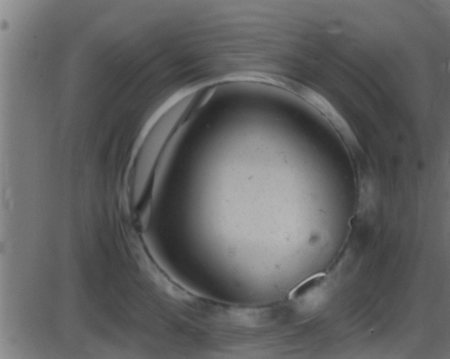 X0000086280908200704051332