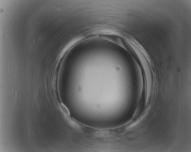 X0000086280909200704051332