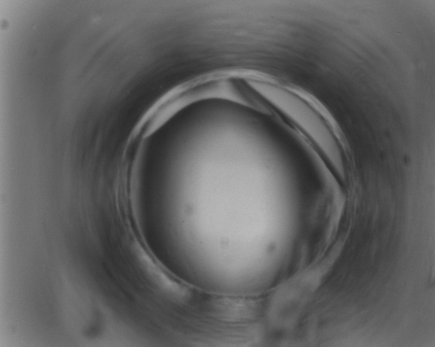 X0000086280910200704051332