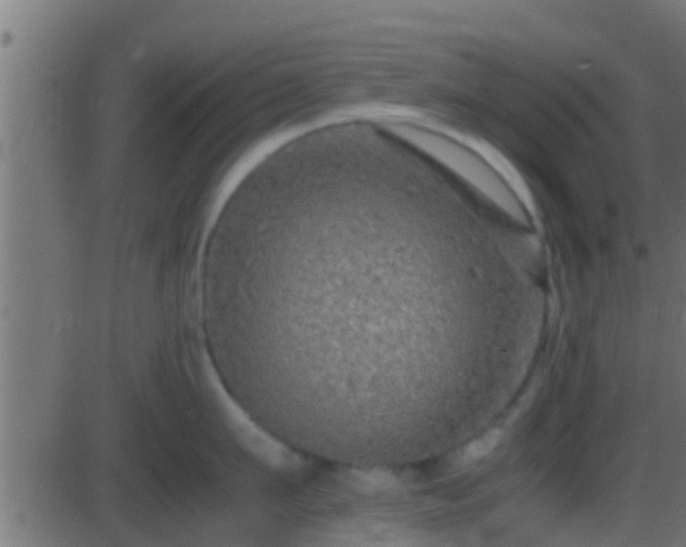 X0000086280911200704051332