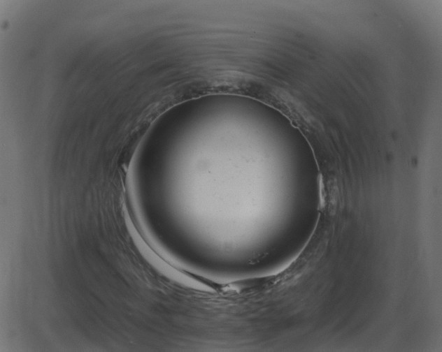 X0000086280916200704051331