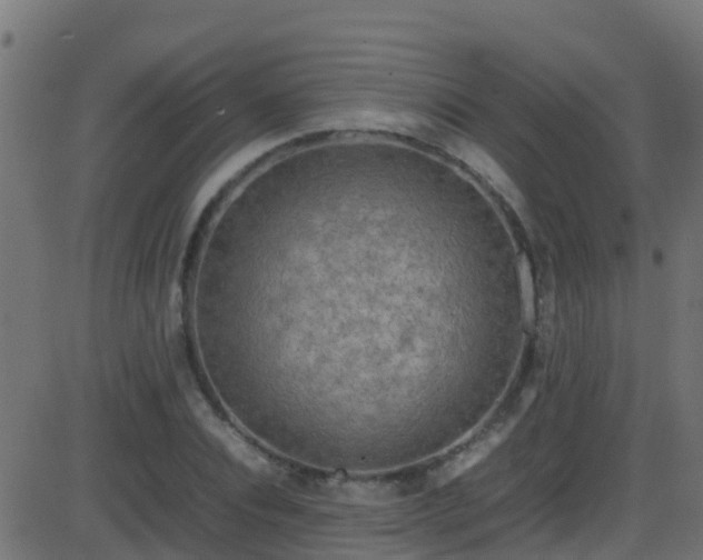 X0000086280928200704051331