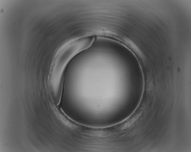 X0000086280932200704051331