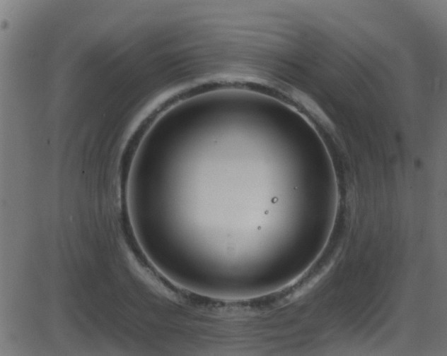 X0000086280934200704051331