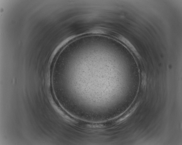 X0000086280939200704051331