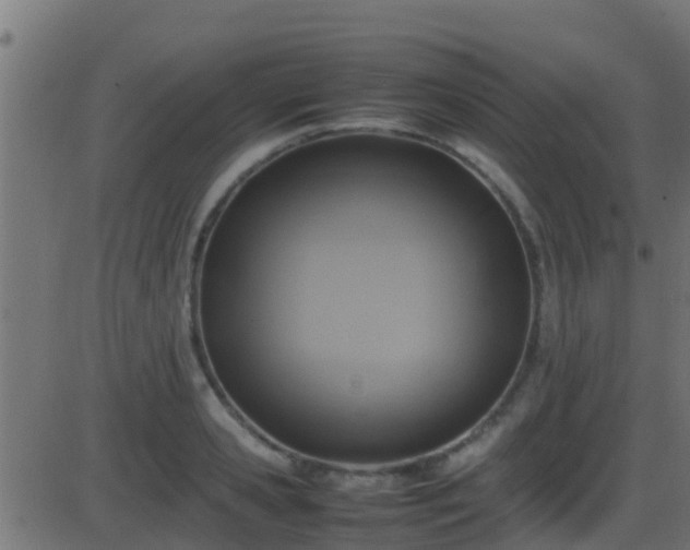 X0000086280941200704051331