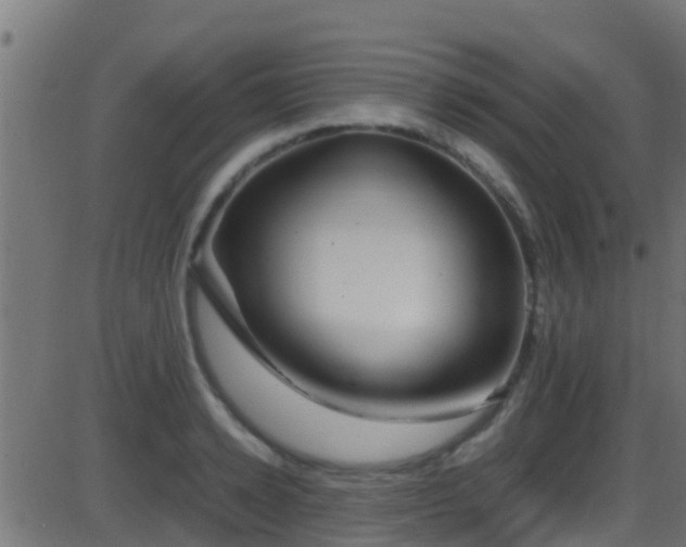 X0000086280942200704051331