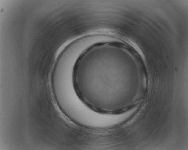 X0000086280944200704051331