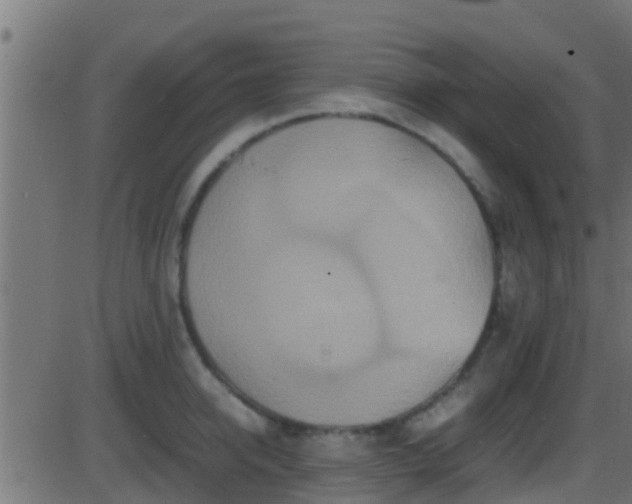 X0000086280950200704051331