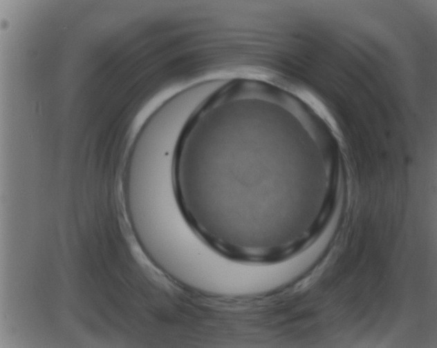 X0000086280952200704051331