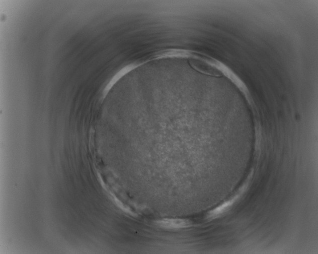 X0000086280953200704051331