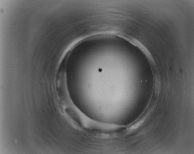 X0000086280956200704051331