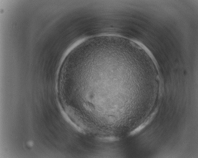 X0000086280957200704051331