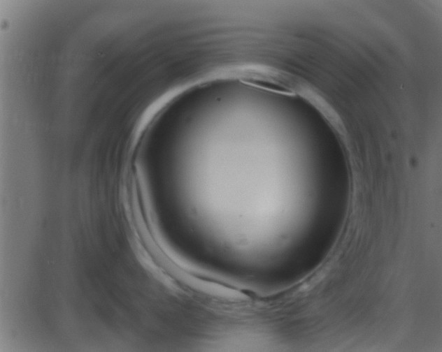 X0000086280960200704051332