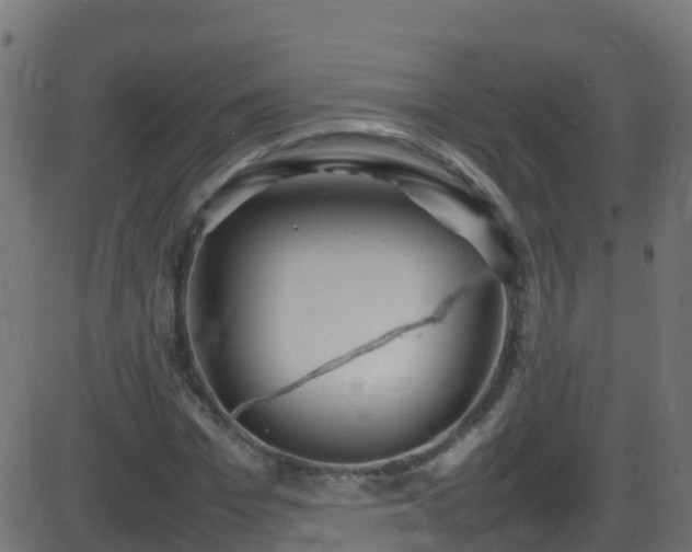 X0000086280969200704051331