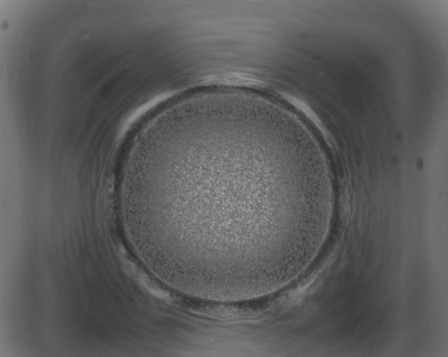 X0000086280971200704051331