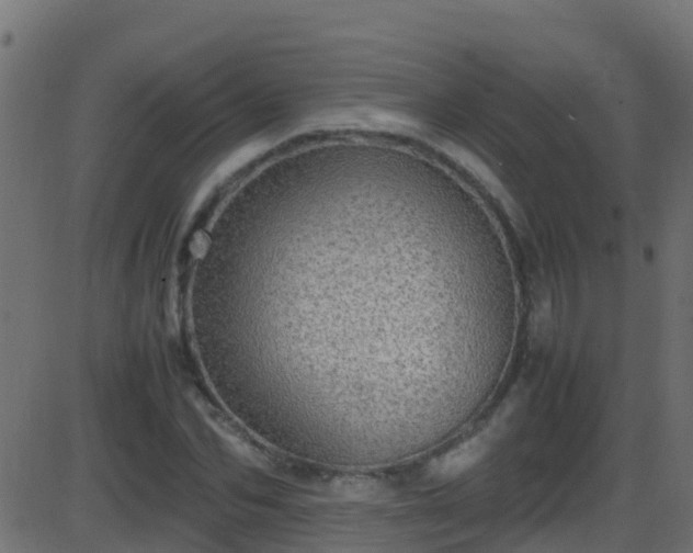 X0000086280974200704051331