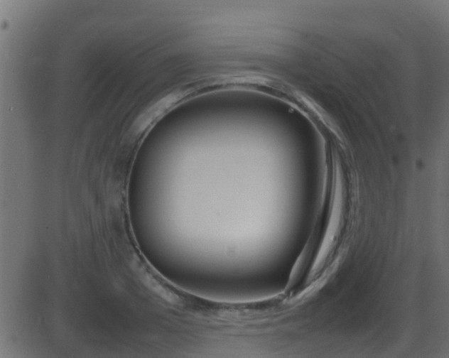 X0000086280985200704051330