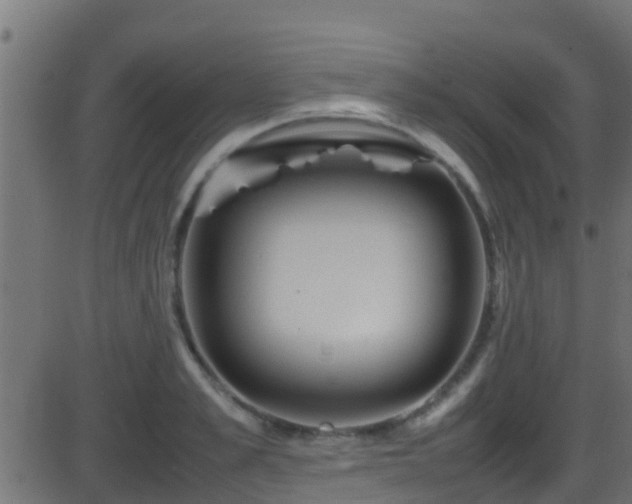 X0000086280989200704051330