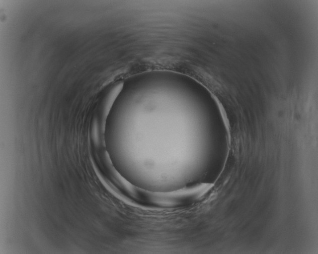 X0000086281010200704051329