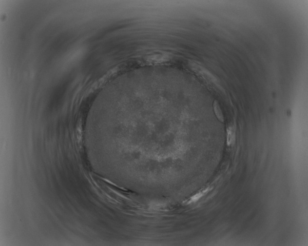 X0000086281011200704051329