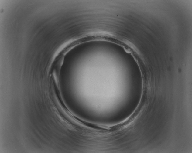 X0000086281022200704051329