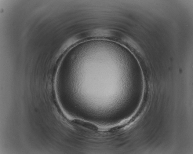 X0000086281025200704051329