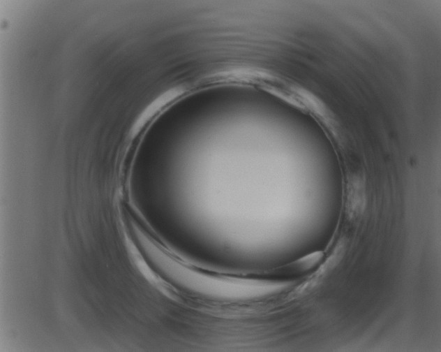 X0000086281042200704051330