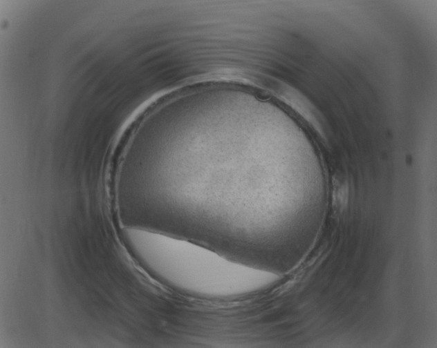 X0000086281068200704051329