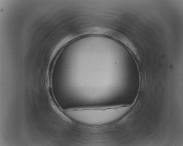 X0000086281080200704051329