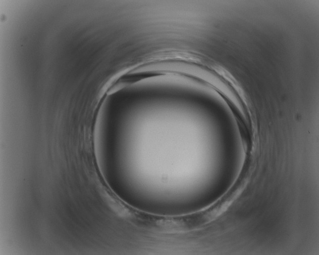 X0000086281089200704051329