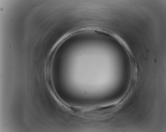 X0000086281101200704051328