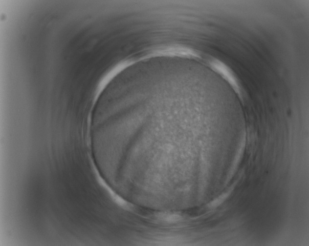 X0000086281103200704051328