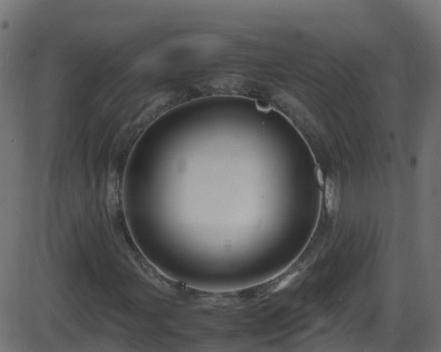 X0000086281107200704051328