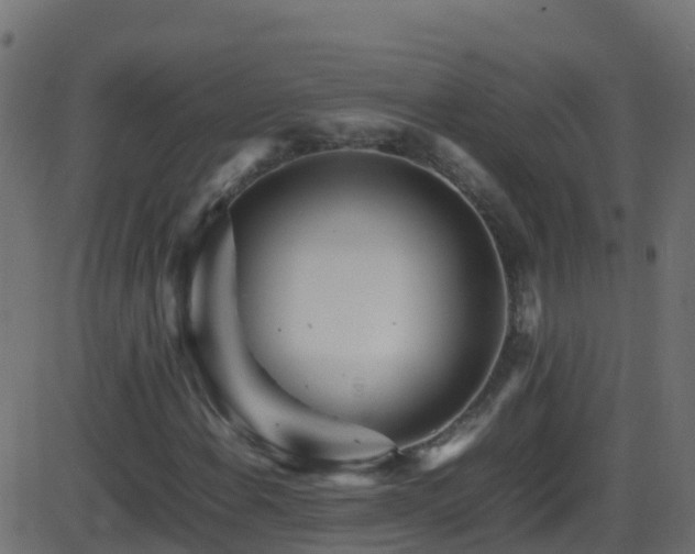 X0000086281108200704051328