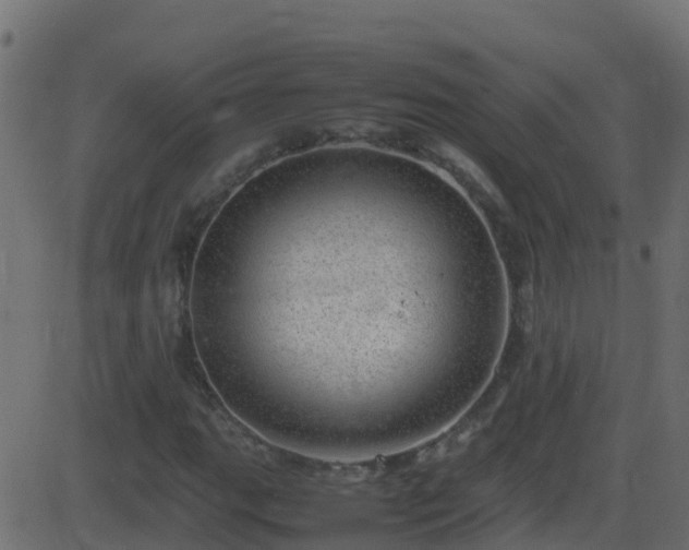 X0000086281111200704051328