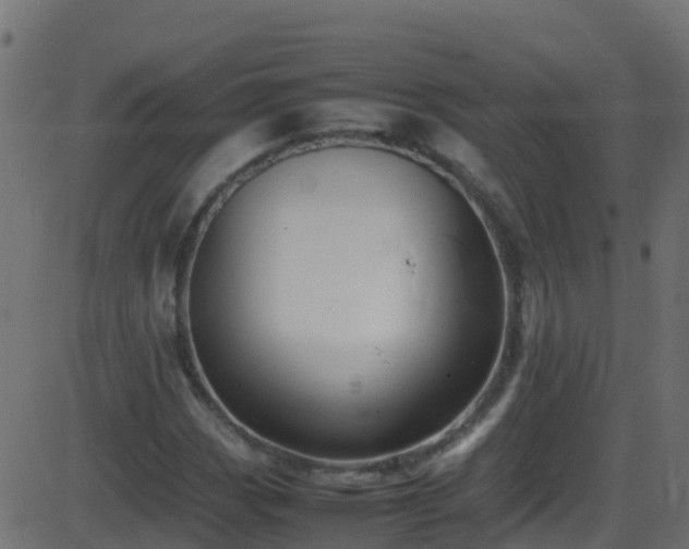 X0000086281113200704051328