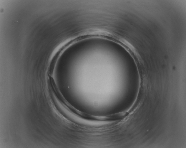 X0000086281120200704051328